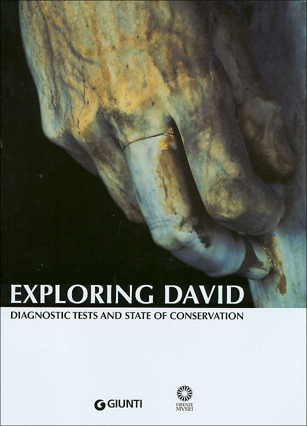 Exploring David::diagnostic tests and state of conservation