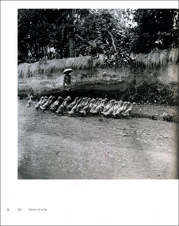 L'isola degli dei. Gotthard Schuh::Fotografie. Bali 1938