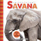 Savana