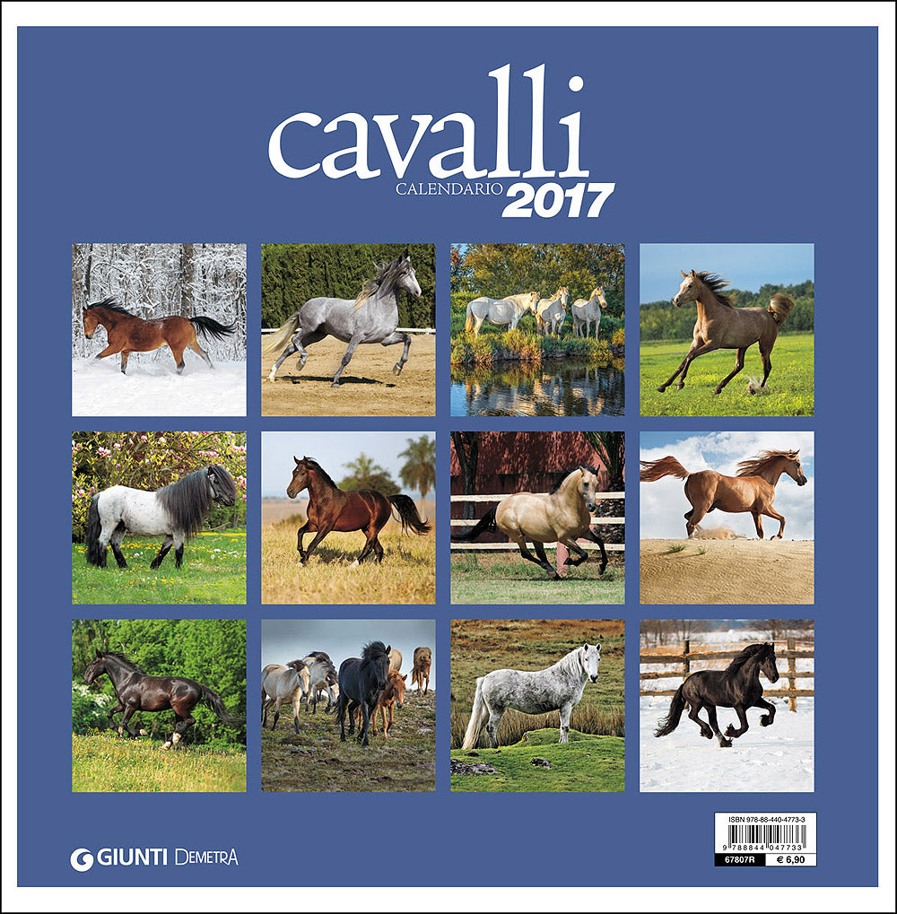 Cavalli - Calendario 2017