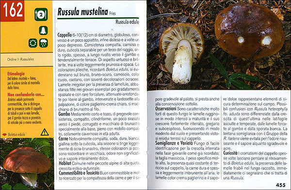 Tutto Funghi::conoscerli raccoglierli cucinarli