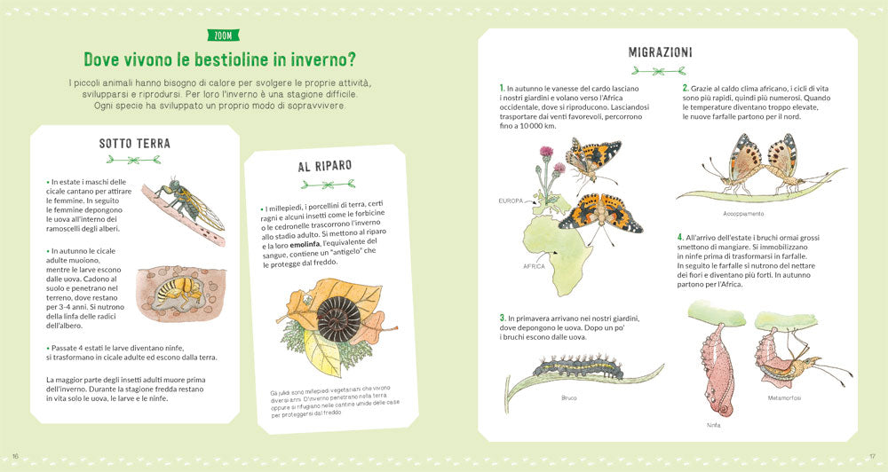 Il grande mondo degli animali piccoli::Osserva e scopri gli invertebrati