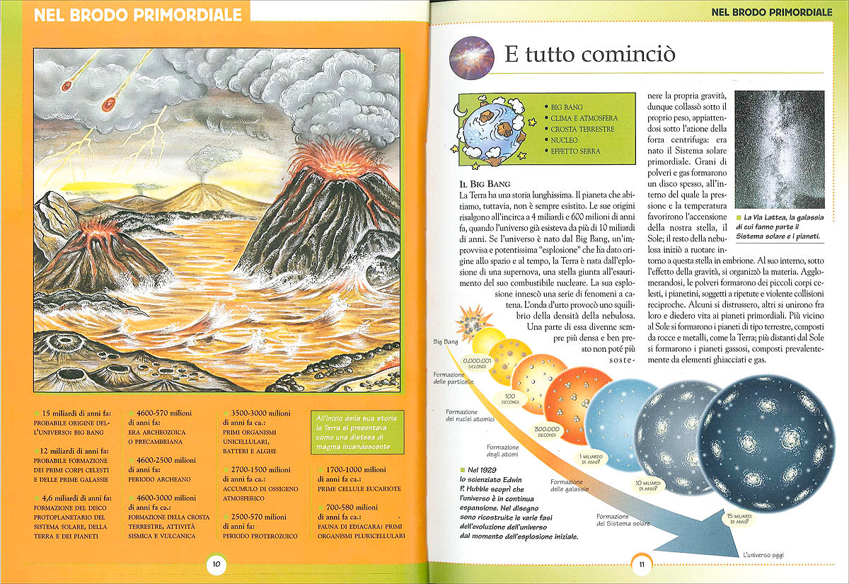 Preistoria. L'evoluzione della vita sulla Terra::Con tante immagini da ritagliare per le tue ricerche