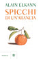 Spicchi di un'arancia