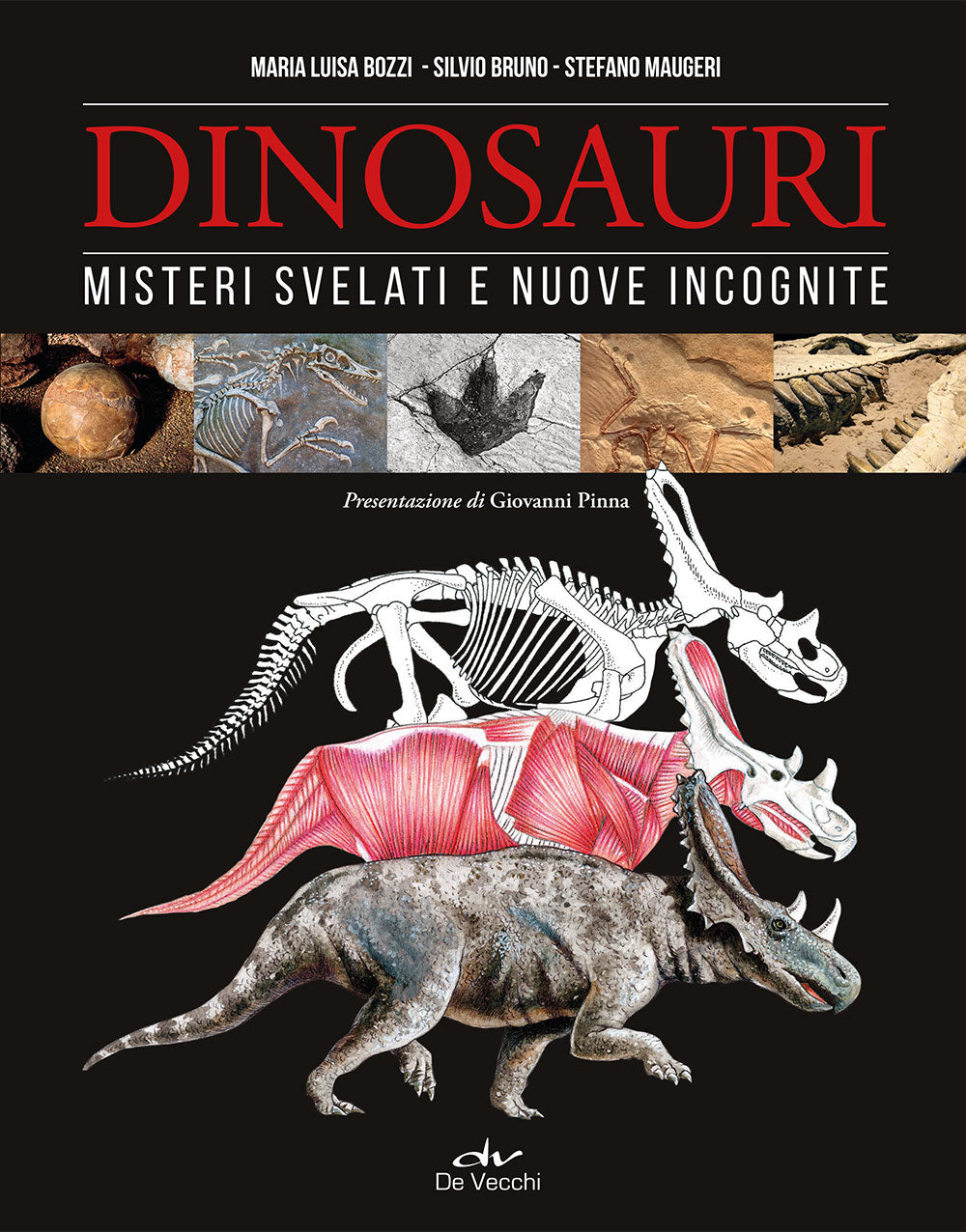 Dinosauri ::misteri svelati e buove incognite