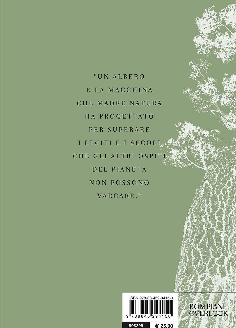 I giganti silenziosi::Gli alberi monumento delle città italiane