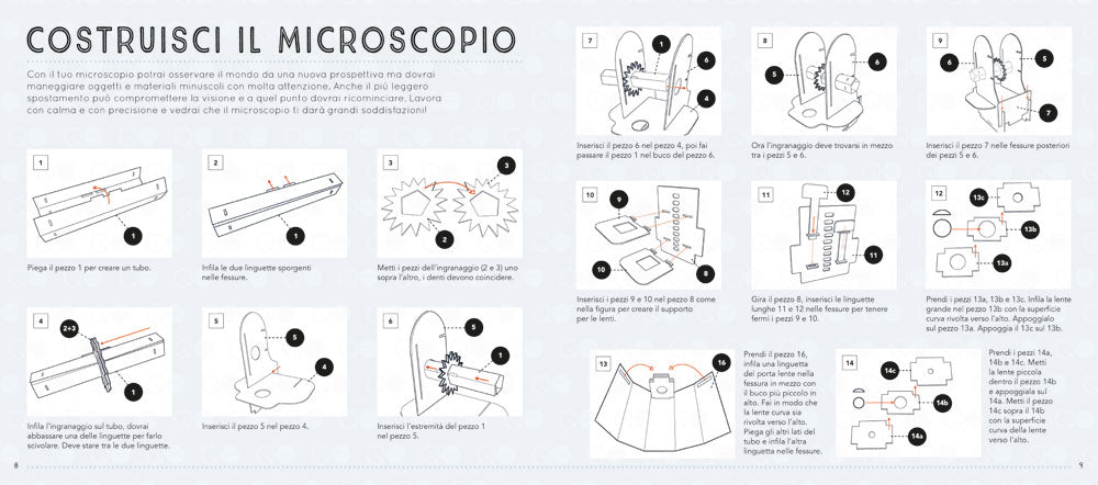 Mondo Microscopio Online - Mondo Microscopio