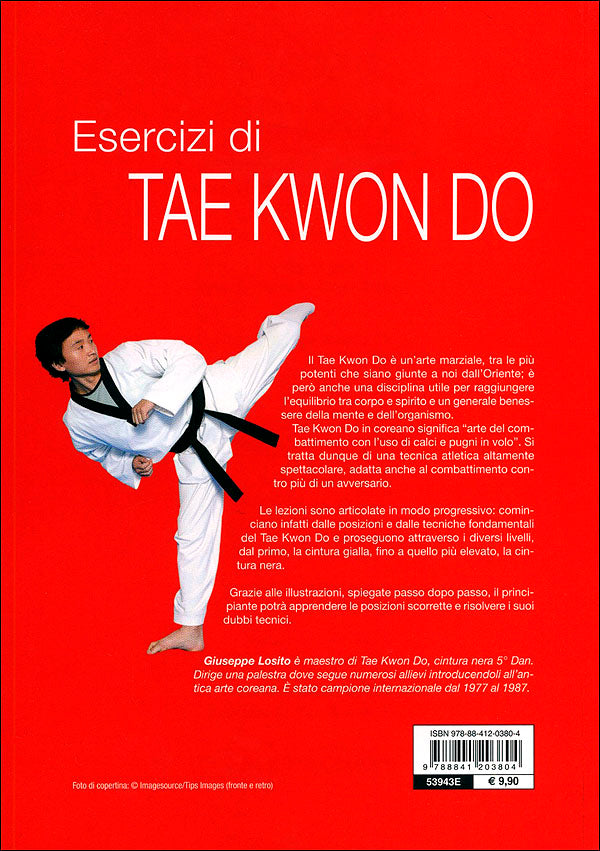 Esercizi di Tae Kwon Do::Le posizioni fondamentali, le forme, dalla cintura gialla alla cintura nera