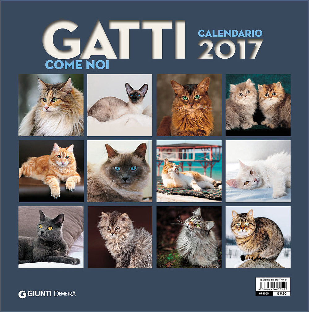 Gatti come noi - Calendario 2017