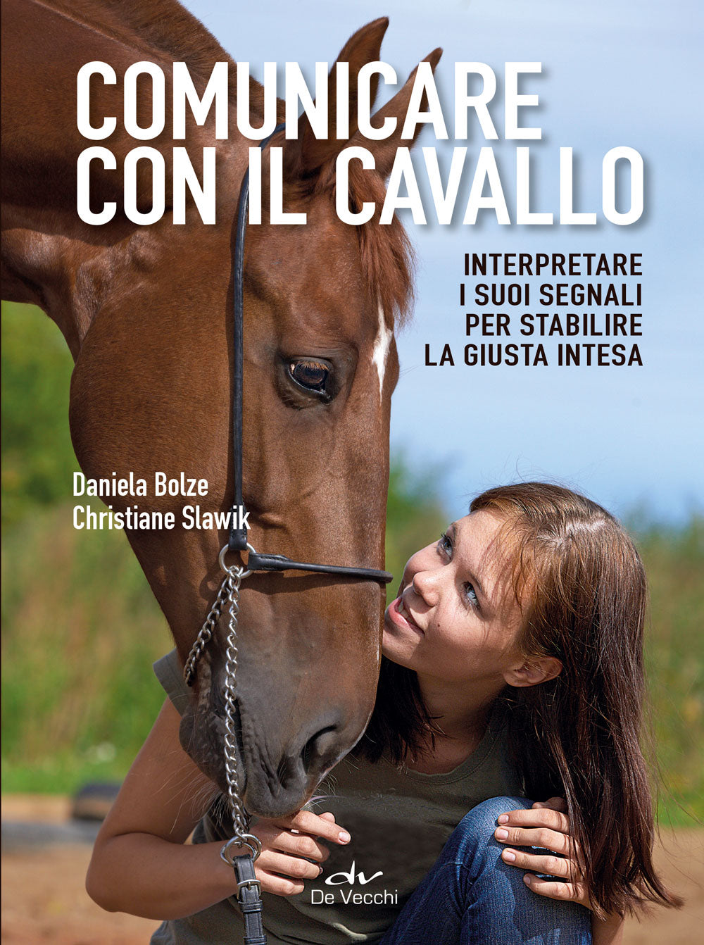 Comunicare con il cavallo::Interpretare i suoi segnali per stabilire la giusta intesa