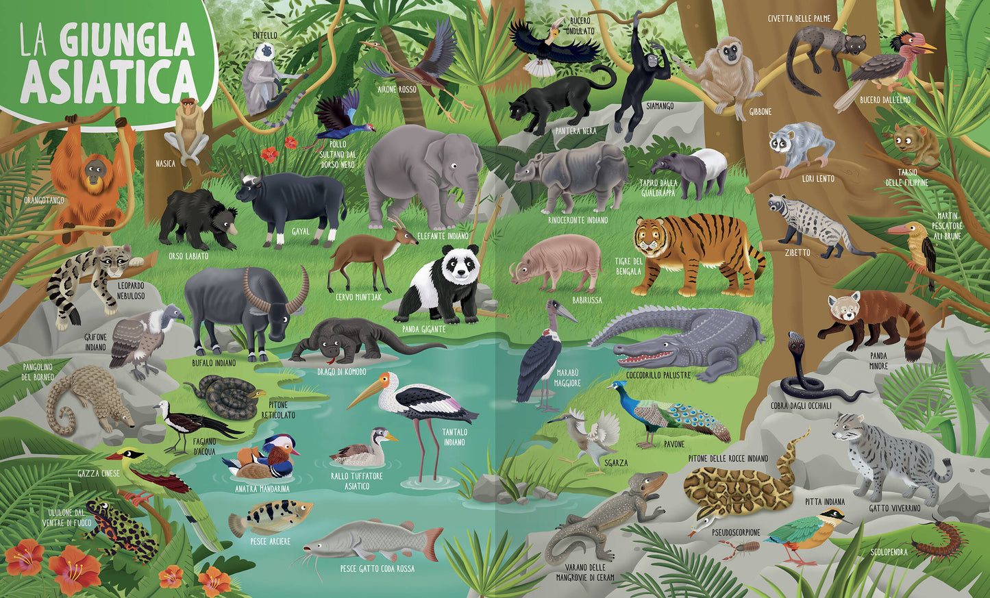 1000 Animali del mondo