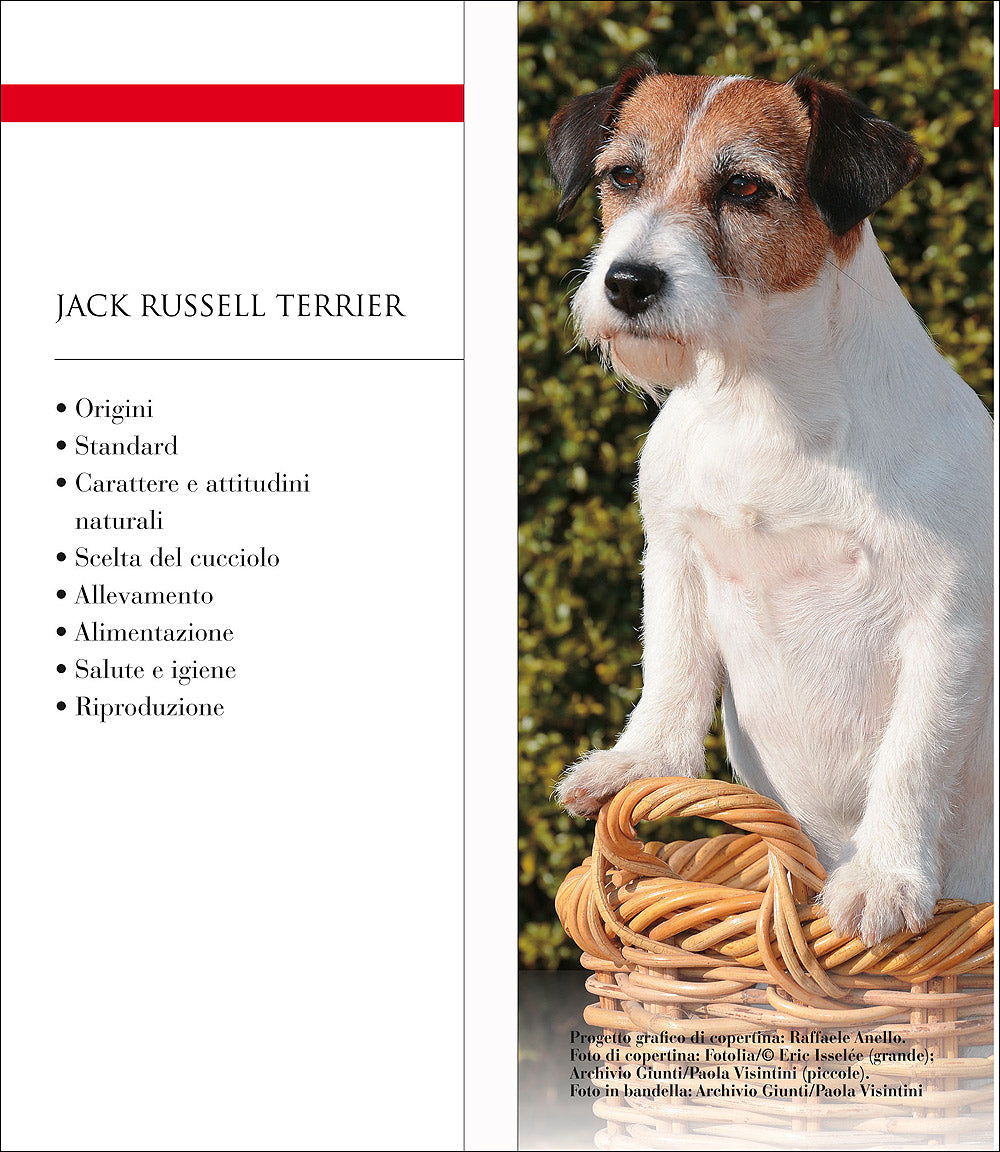 Jack Russell Terrier::Vita in casa - Educazione - Cure