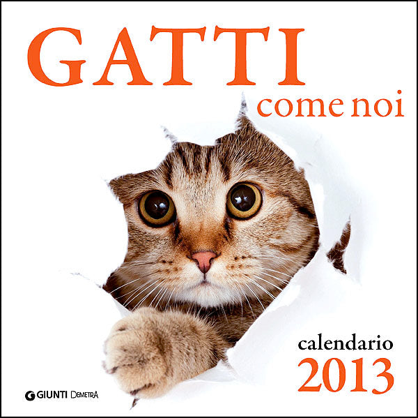 Gatti come noi - Calendario 2013