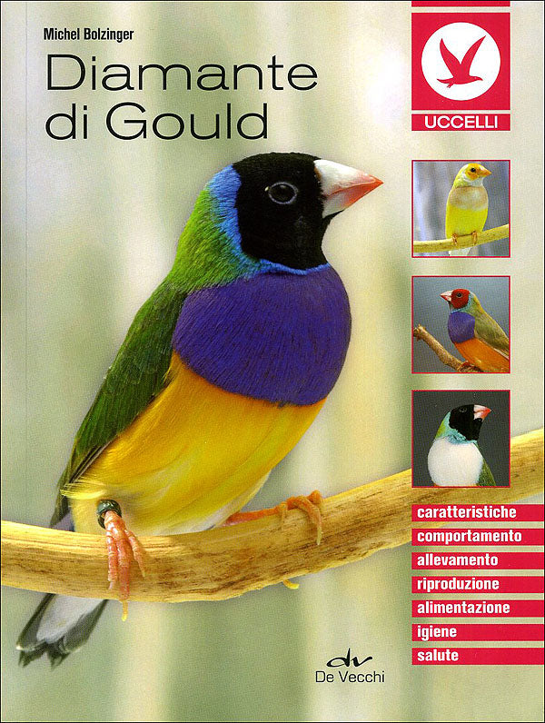 Diamante di Gould::Caratteristiche, comportamento, allevamento, riproduzione, alimentazione, igiene, salute