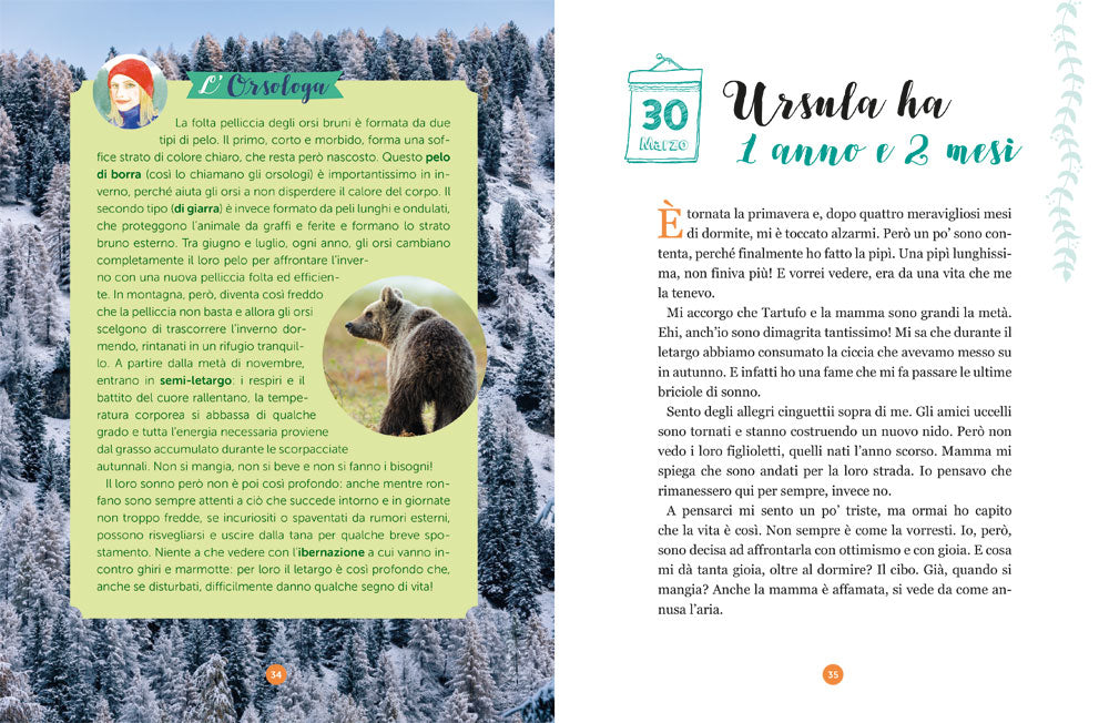 Ursula::La vita di un’orsa nei boschi d’Italia