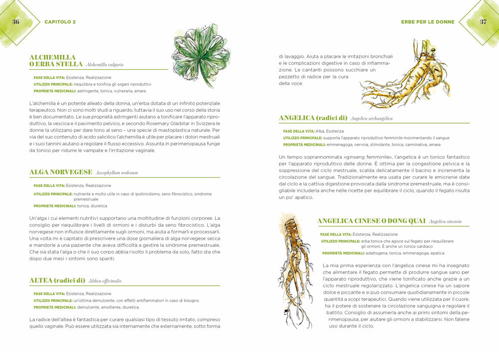 Le erbe buone per la salute della donna::200 rimedi naturali per il benessre, la bellezza e la longevità
