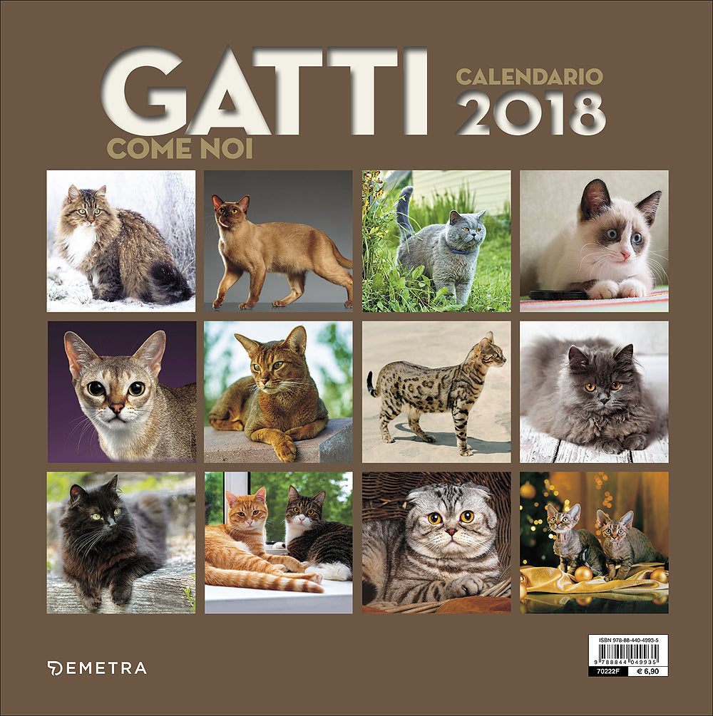 Gatti come noi - Calendario 2018