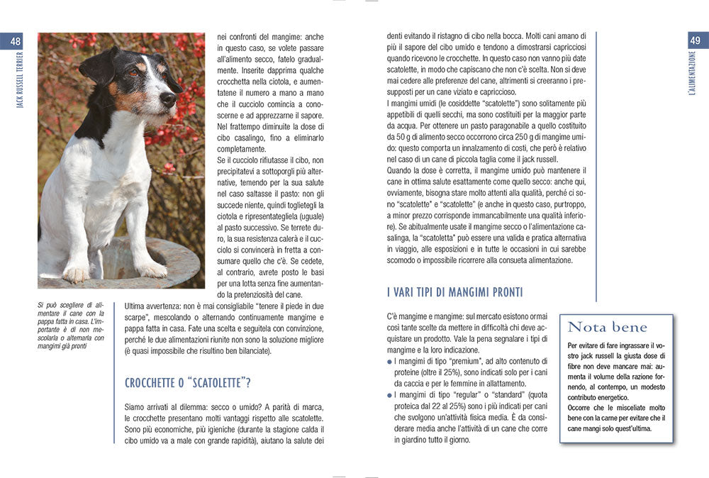 Jack Russel Terrier::vita in casa educazione cure