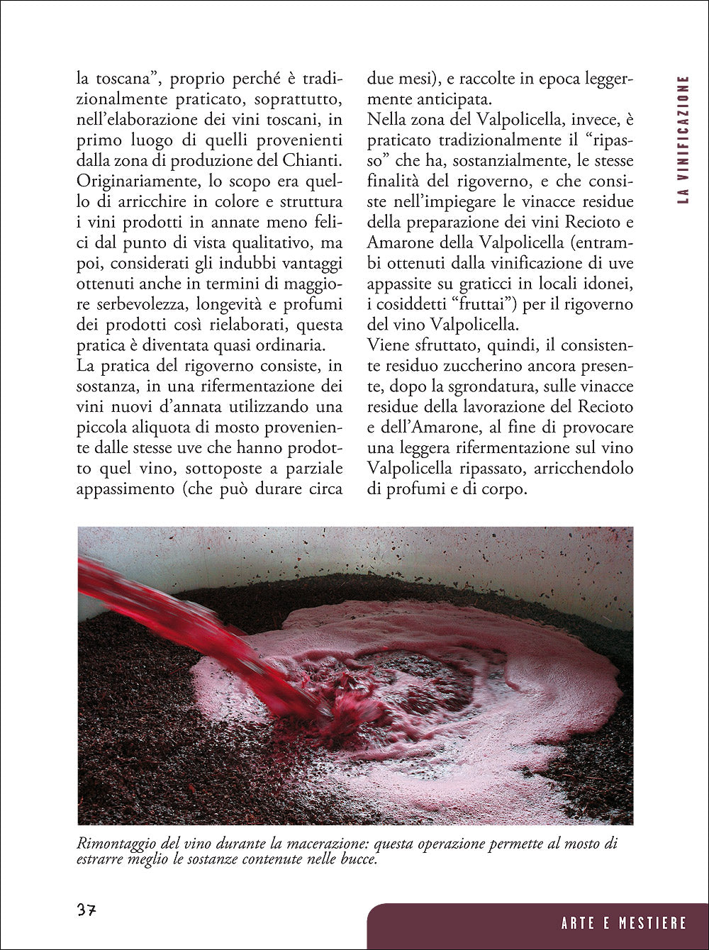 Passione vino::Sceglierlo - Servirlo - Degustarlo