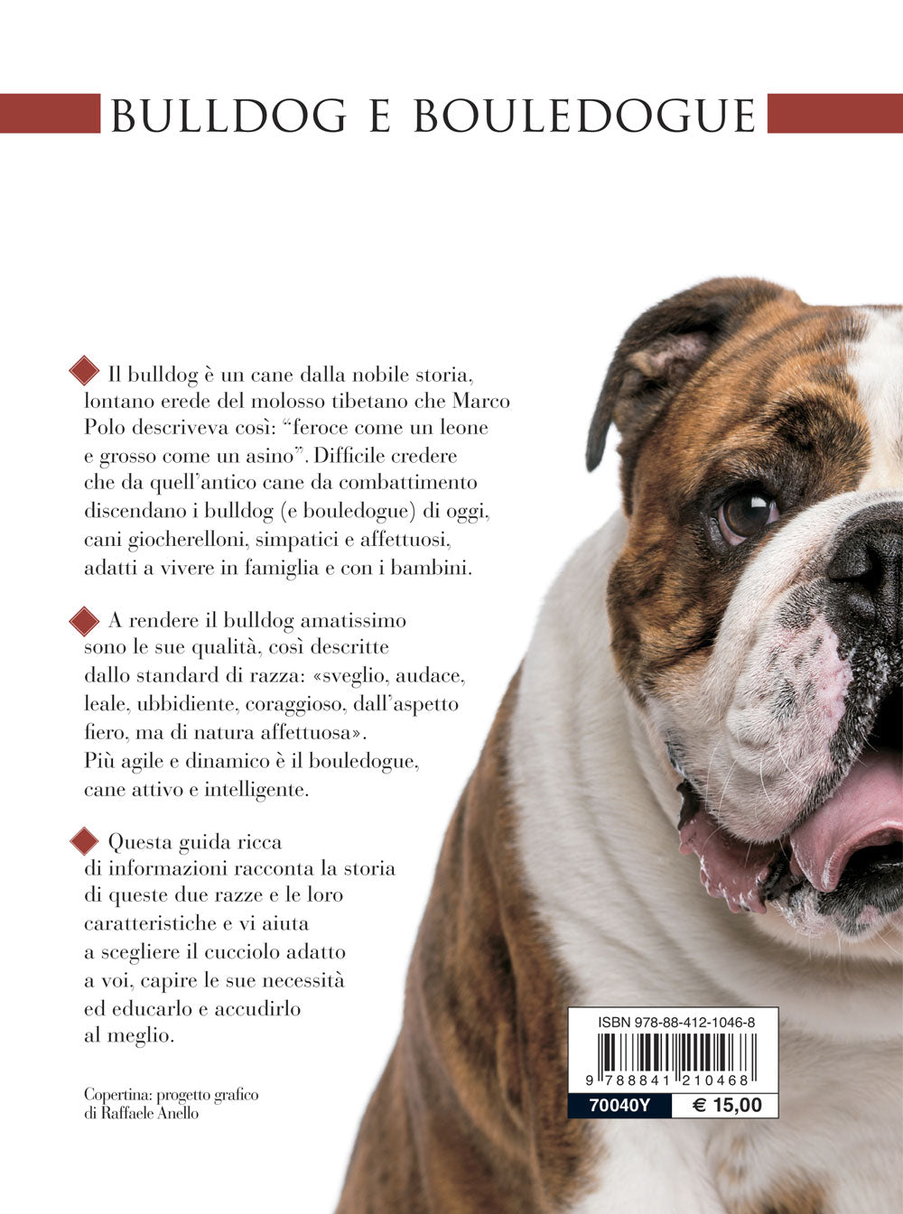 Bulldog e bouledogue::Educazione - Addestramento - Cure