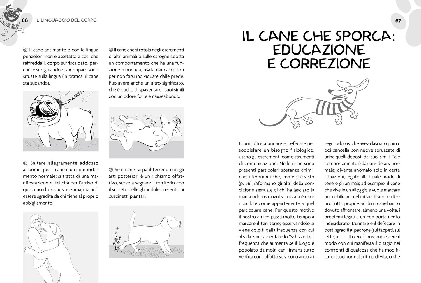 Educare o rieducare il cane::Prevenire o correggere i comportamenti indesiderati