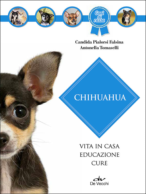 Chihuahua::Vita in casa - Educazione - Cure