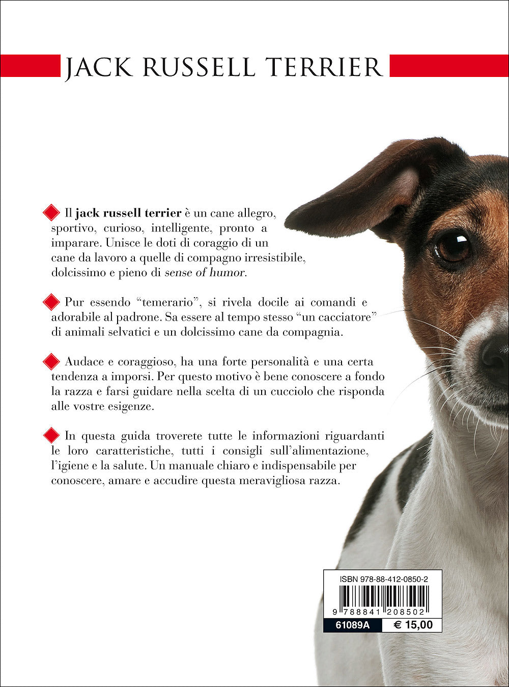 Jack Russell Terrier::Vita in casa - Educazione - Cure