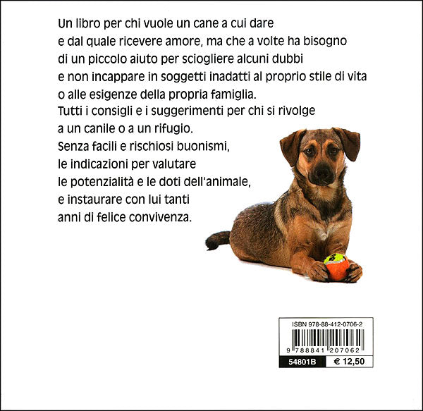 Adottare un cane::Scegliere il tuo nuovo compagno per un'amicizia a tutta fedeltà