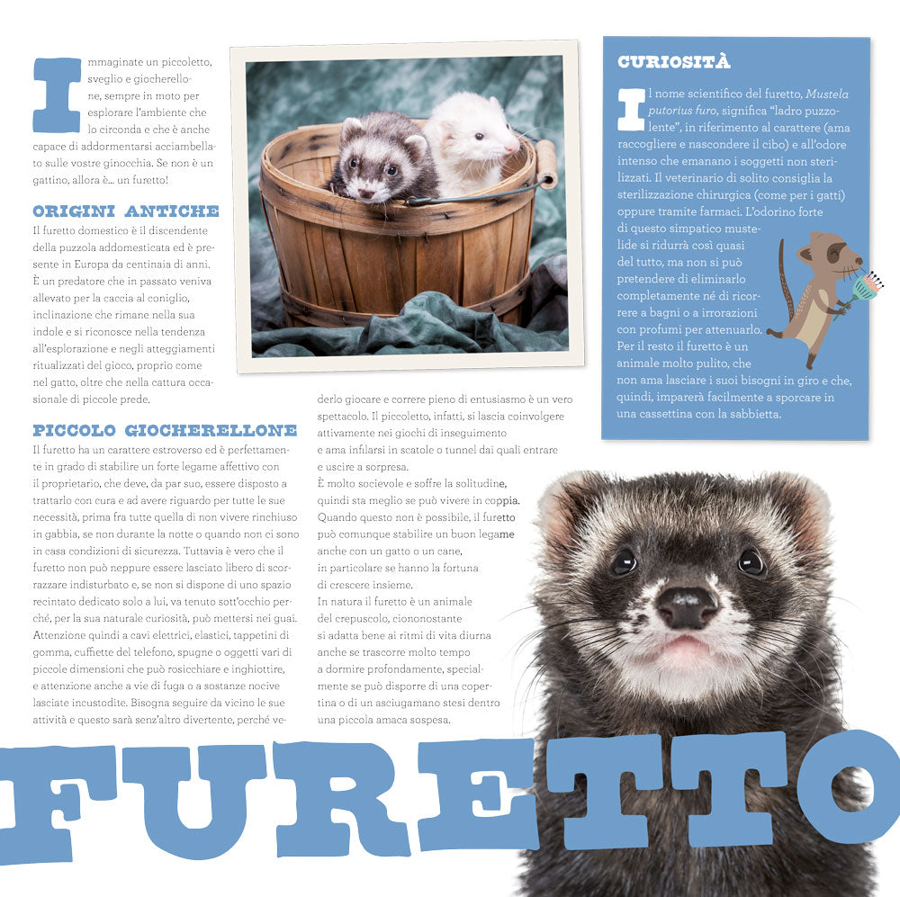 Calendario Happy pets 2021, da parete, 30x30 cm