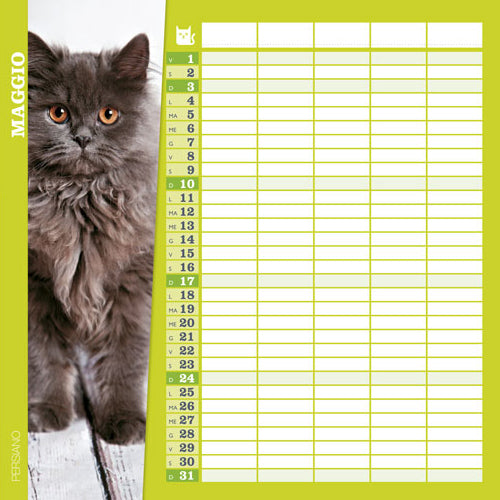 Gatti come noi - Calendario 2020