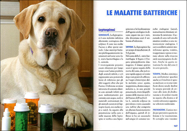 La salute del cane::Igiene, alimentazione, riproduzione, primo soccorso, prevenzione di incidenti e malattie