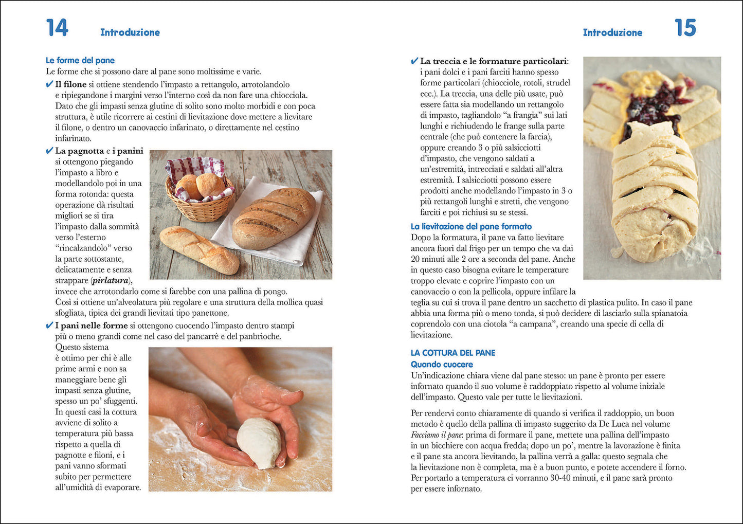 Il pane gluten free::Pani, pizze e focacce fatte in casa