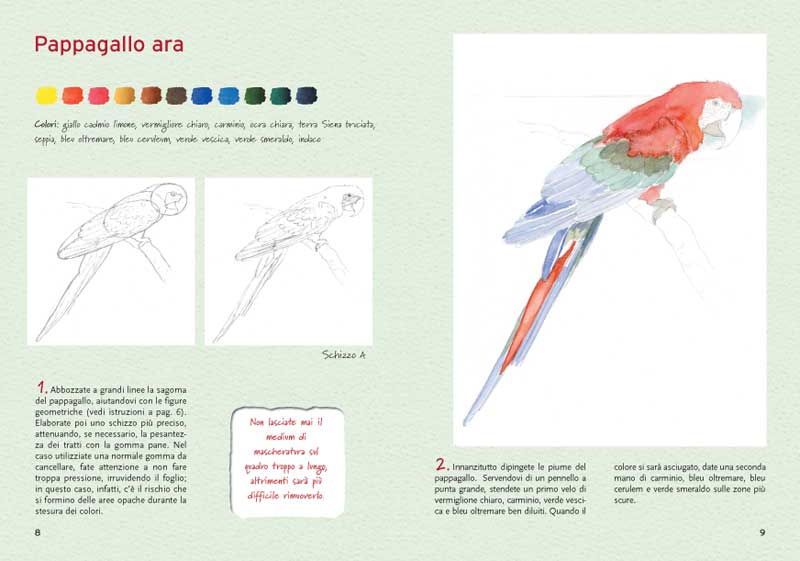 Dipingere con gli acquerelli ritratti di animali::Con le bozze dei disegni