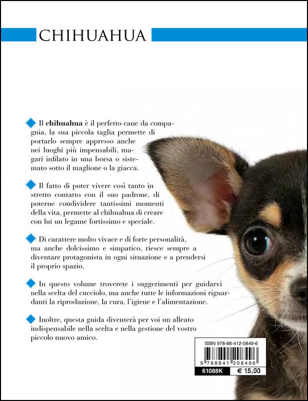 Chihuahua::Vita in casa - Educazione - Cure