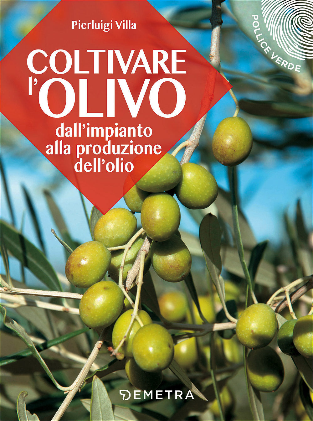 Coltivare l'olivo::Dall'impianto alla produzione dell'olio
