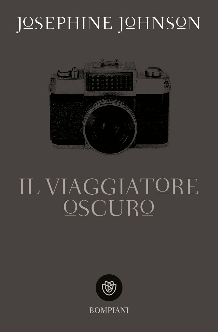 Il viaggiatore oscuro