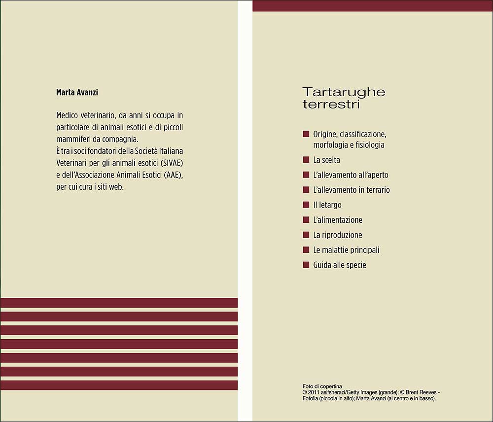 Tartarughe terrestri::Morfologia - Specie - Allevamento - Alimentazione -  Riproduzione - Igiene - Salute