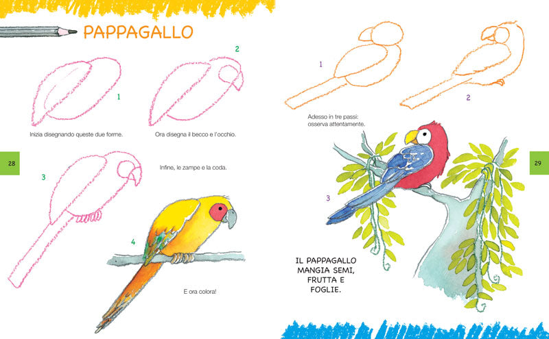 Imparare a disegnare: corso per bambini - Vol. 2::Un manuale con più di 100 esempi per imparare a disegnare passo dopo passo