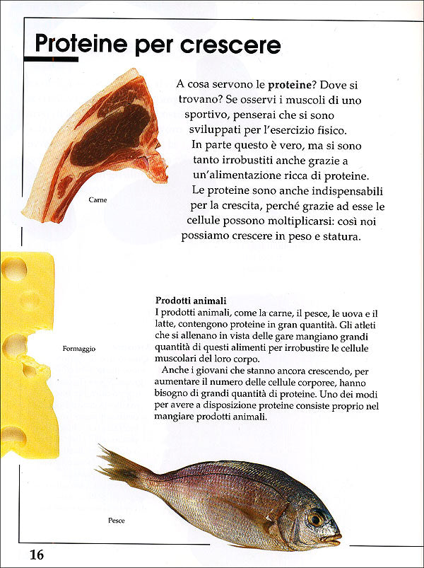 Cosa mangiamo?::Cosa si mangia nel mondo? Come il nostro corpo utilizza le sostanze nutritive? A cosa servono le proteine e i grassi, i carboidrati e gli zuccheri? Cos'è una dieta equilibrata?