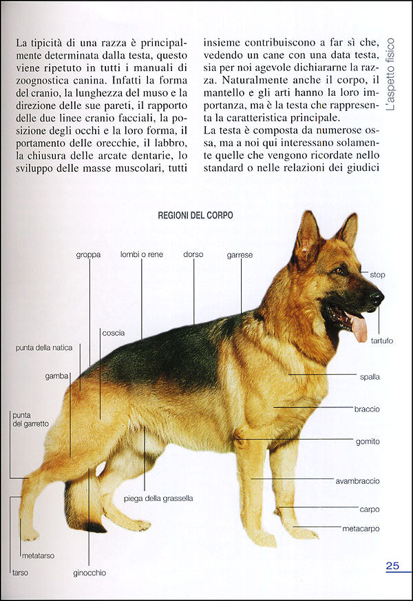 342 cani di razza::Tutte le razze riconosciute dalla Federazione Cinologica Internazionale. Caratteristiche fisiche e psicologiche, storia, attitudini, curiosità.