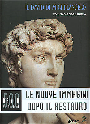 Il David di Michelangelo::Un capolavoro dopo il restauro