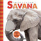 Savana