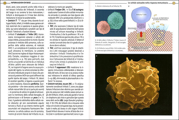 Immunologia::Il sistema immunitario. Sangue, linfa, cellule difensive e organi linfoidi. La reazione del complemento. Reazioni aspecifiche e specifiche: gli anticorpi. Trapianti, vaccini, allergie e disordini immunitari.