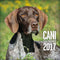 Cani - Calendario 2017