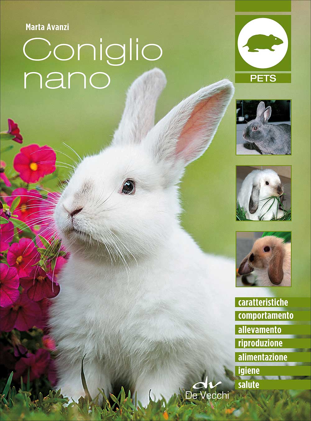Coniglio nano::Caratteristiche - Comportamento - Allevamento - Riproduzione - Alimentazione -  Igiene - Salute