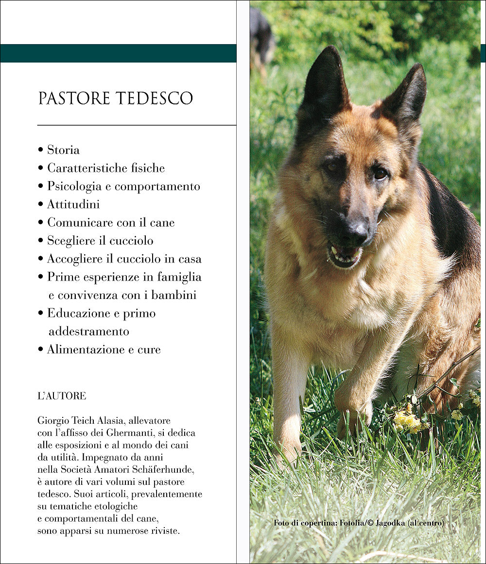 Pastore tedesco::Vita in casa - Educazione - Cure