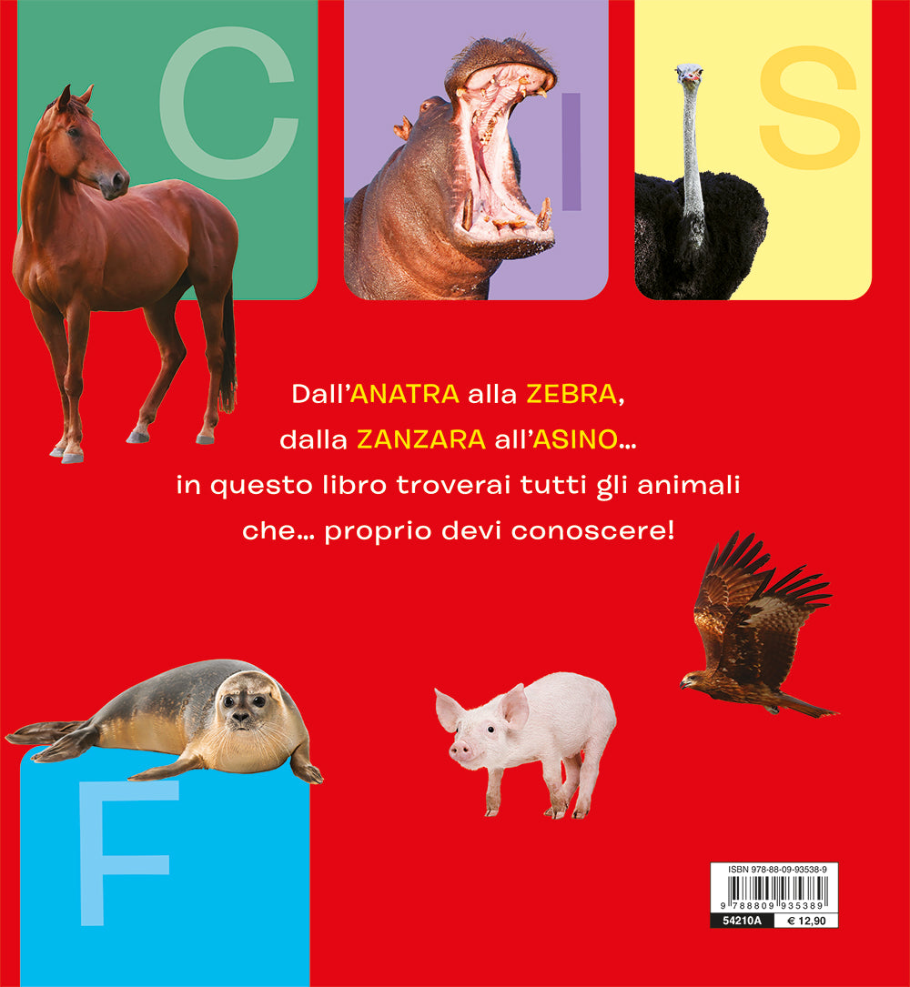 Il mio primo dizionario degli animali