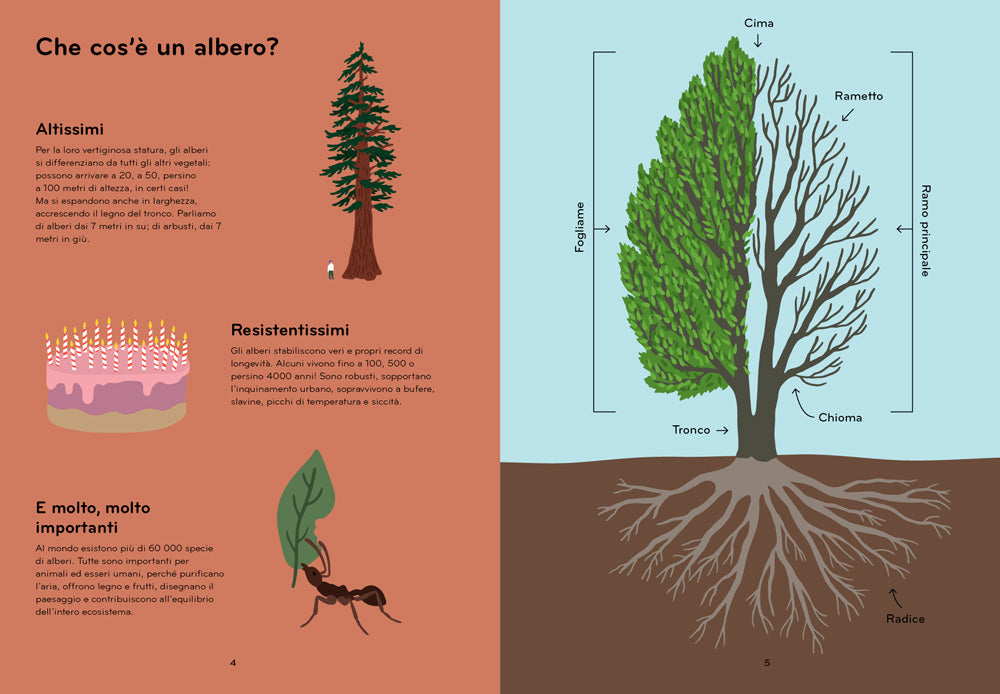 ARBORAMA::SCOPRI E OSSERVA IL FAVOLOSO MONDO DEGLI ALBERI