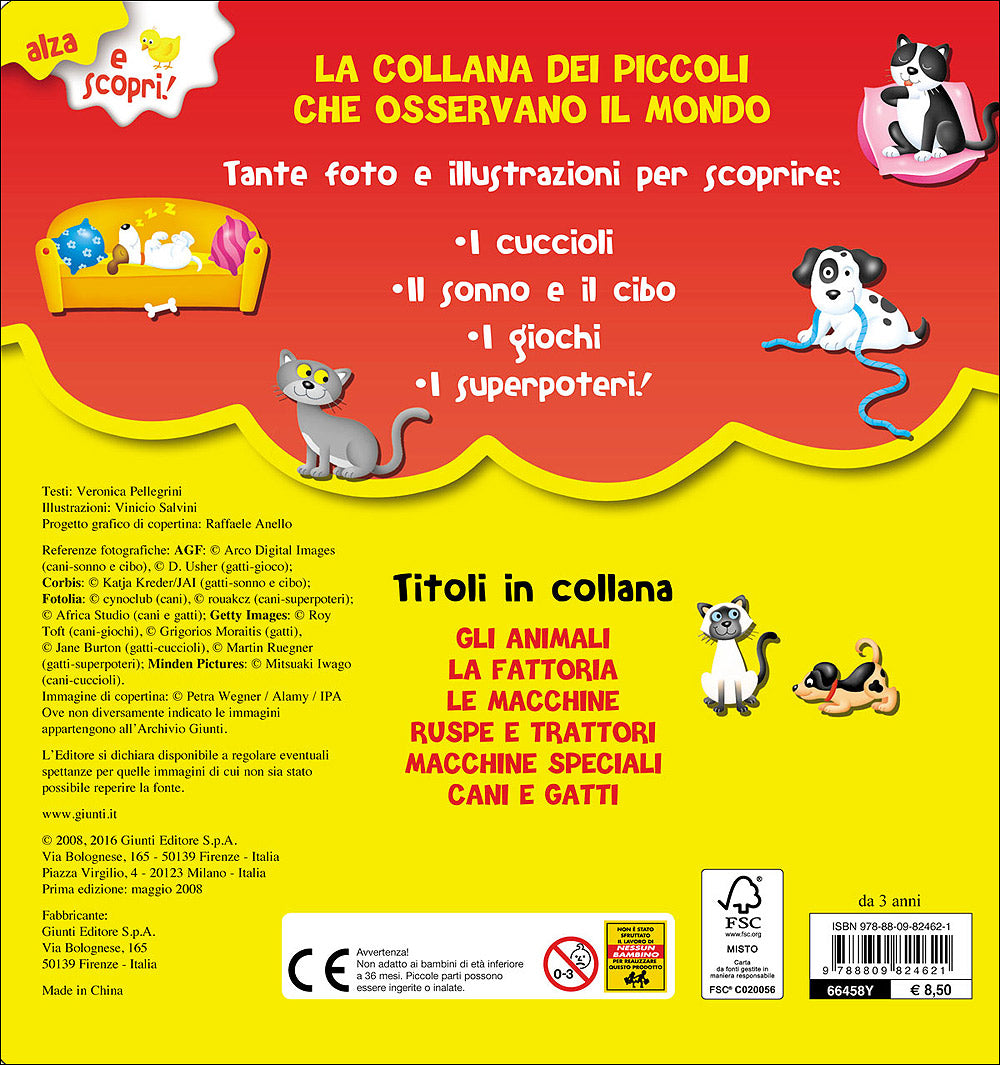 Cani e Gatti::Con finestrelle giganti