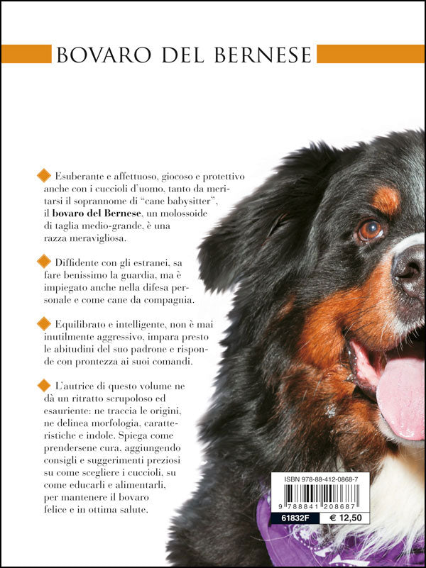 Bovaro del bernese::Vita in casa - Educazione - Cure